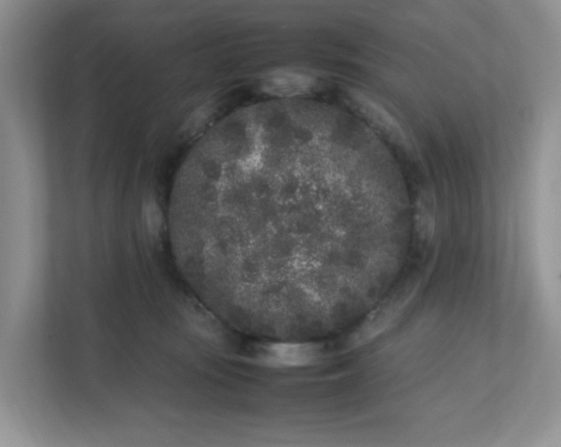 X0000112040371200908171516