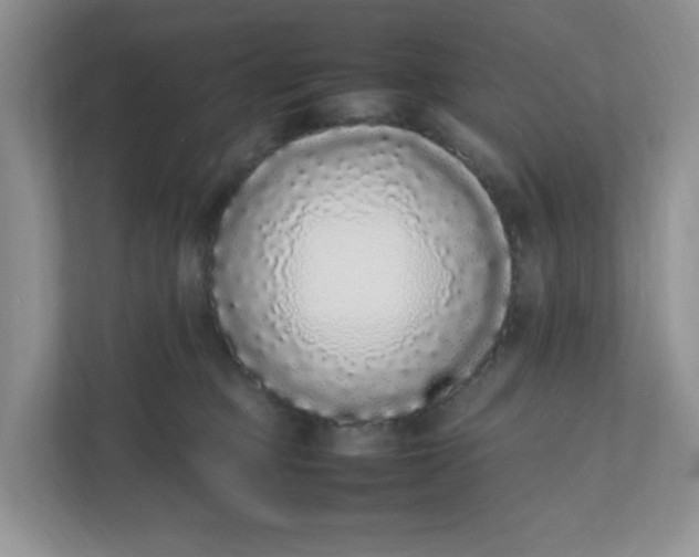 X0000112040373200908171516