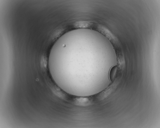 X0000112040374200908171516