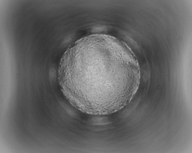 X0000112040375200908171516