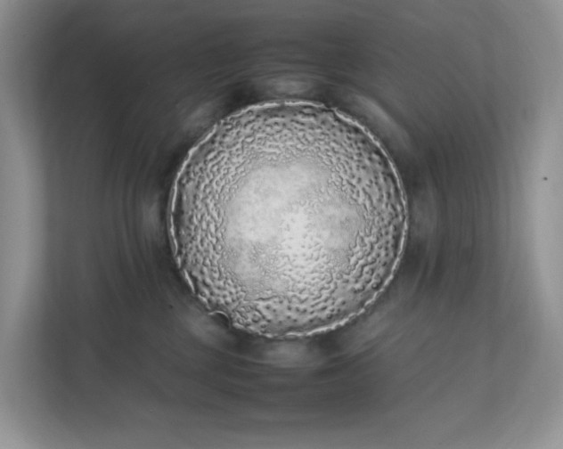 X0000112040377200908171516