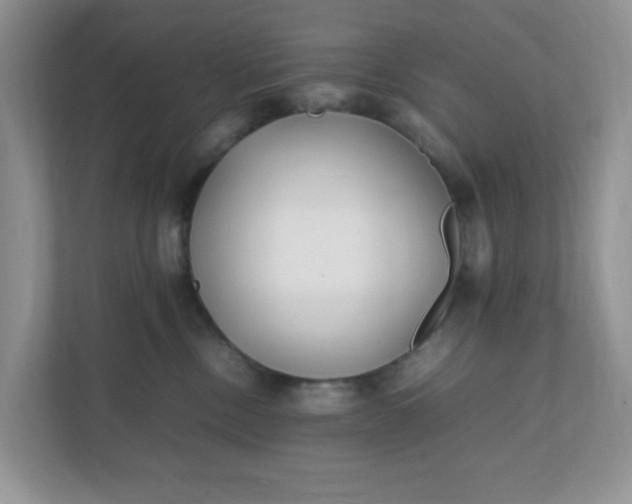 X0000112040378200908171516
