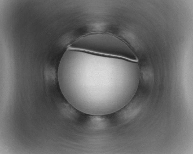 X0000112040380200908171516