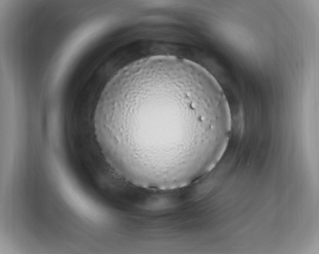 X0000112040381200908171516