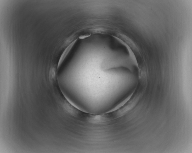 X0000112040382200908171516