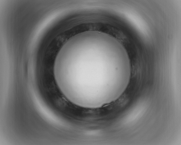 X0000112040383200908171516