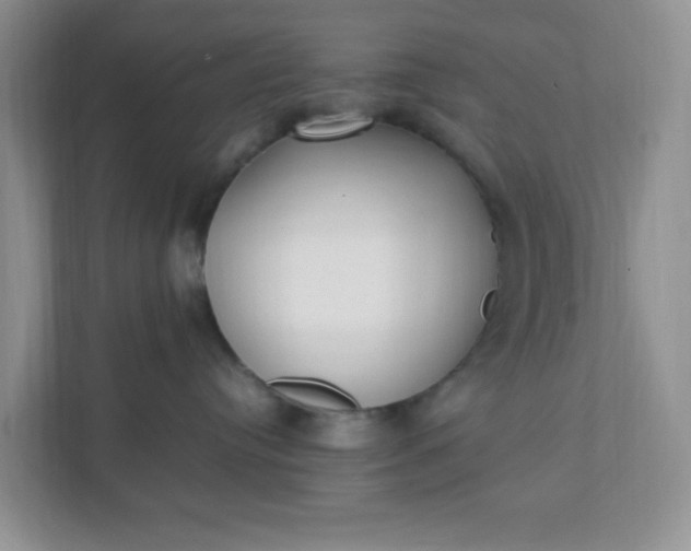X0000112040384200908171516