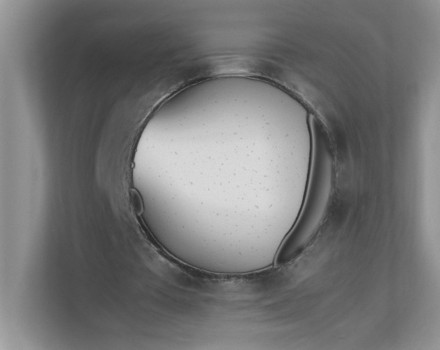 X0000112040385200908171515