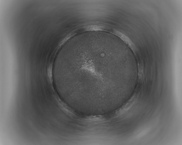 X0000112040386200908171515