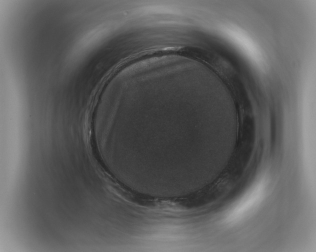 X0000112040387200908171515