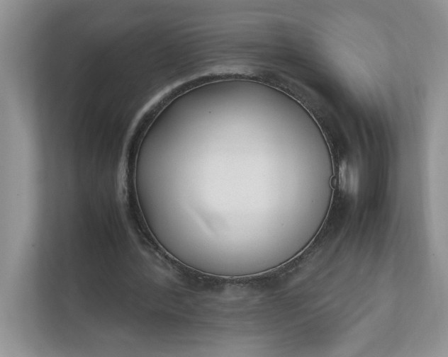 X0000112040388200908171515
