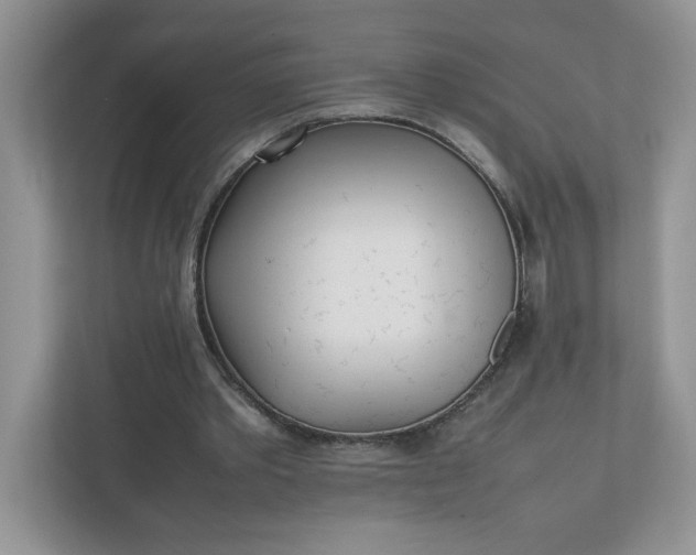 X0000112040389200908171515