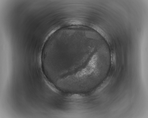 X0000112040390200908171515