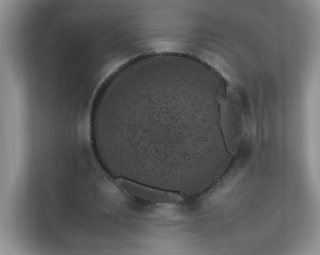 X0000112040391200908171515