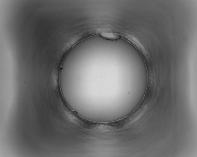 X0000112040393200908171515