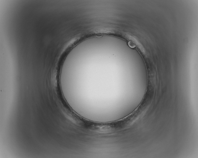 X0000112040395200908171515