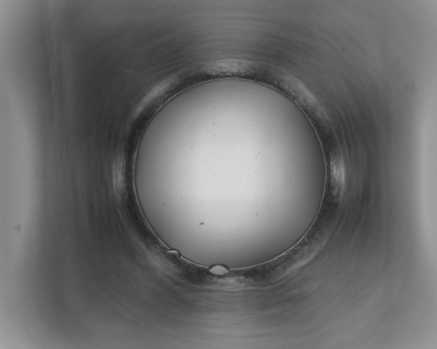 X0000112040396200908171515
