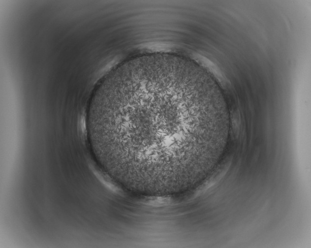 X0000112040398200908171515
