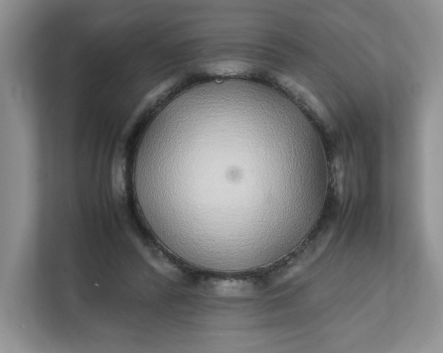 X0000112040400200908171515