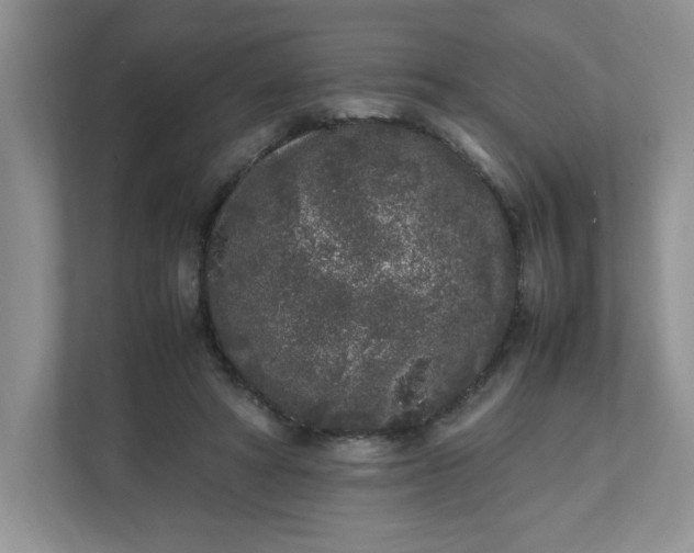 X0000112040402200908171515