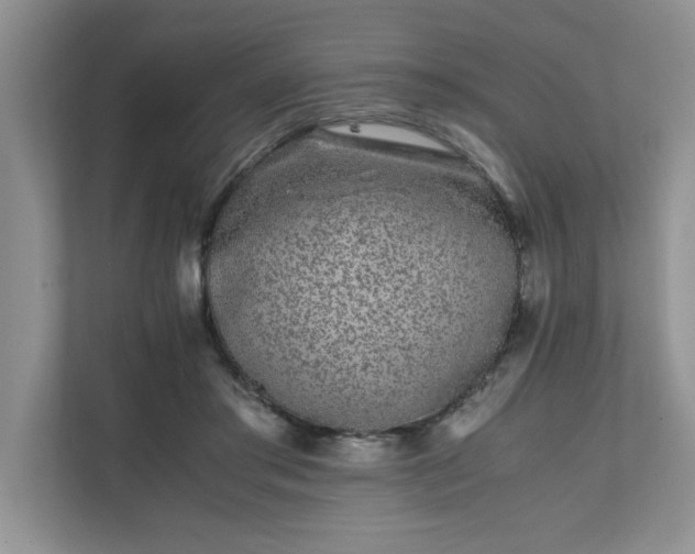 X0000112040405200908171515