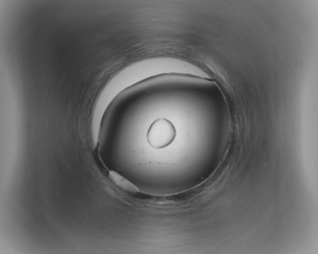 X0000112040407200908171515