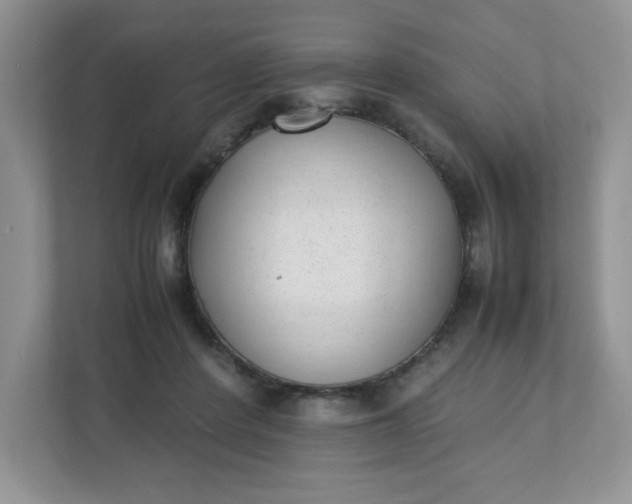 X0000112040408200908171515