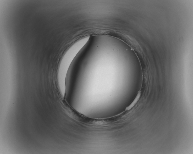 X0000112040409200908171515