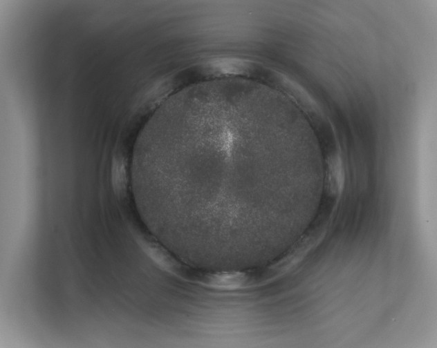 X0000112040410200908171515