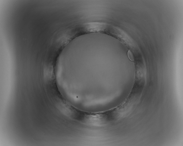 X0000112040411200908171515