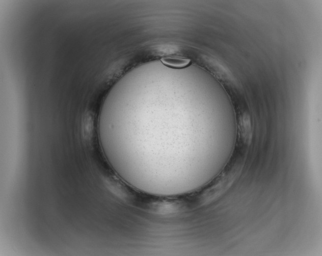 X0000112040412200908171515