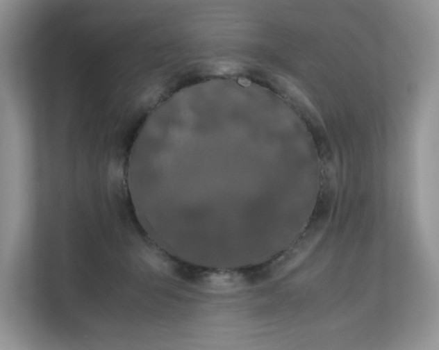 X0000112040415200908171515