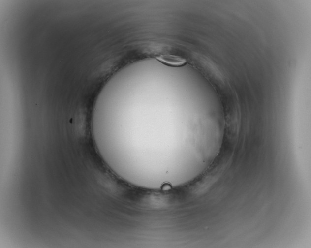 X0000112040416200908171515