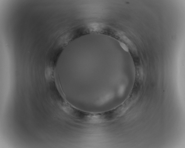 X0000112040419200908171515