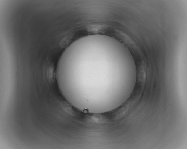 X0000112040420200908171515