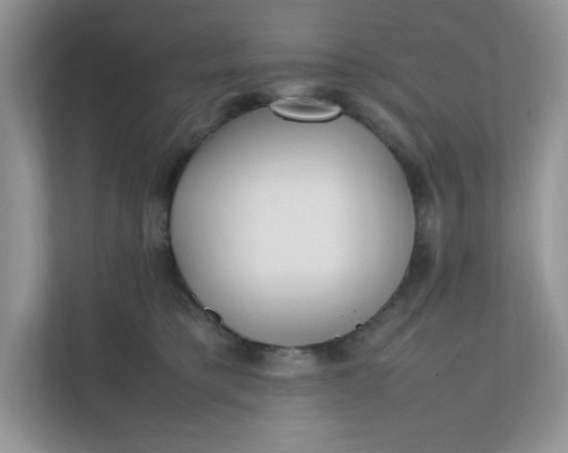 X0000112040421200908171515