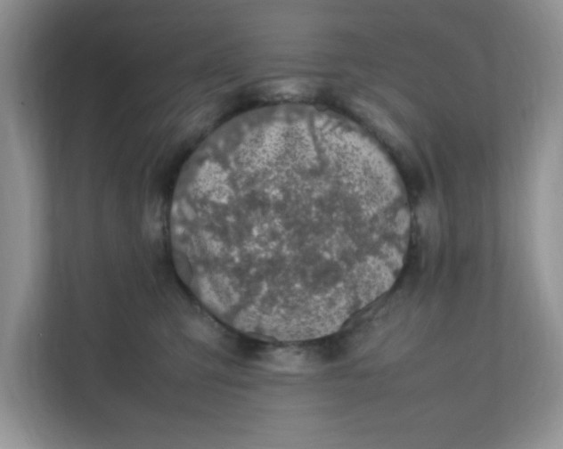 X0000112040423200908171515