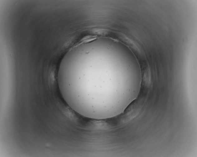 X0000112040424200908171515