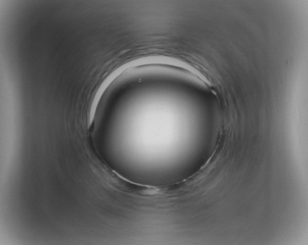 X0000112040425200908171515