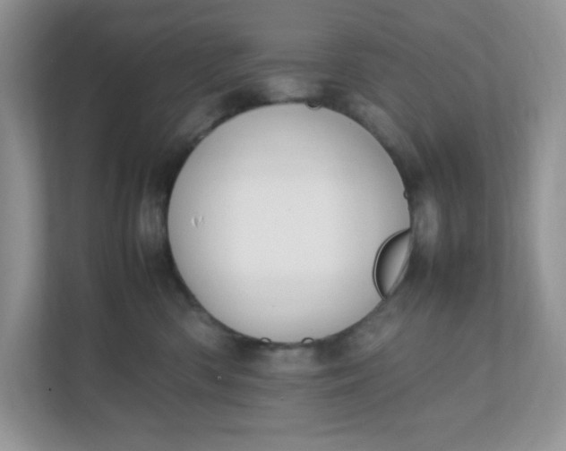X0000112040426200908171515