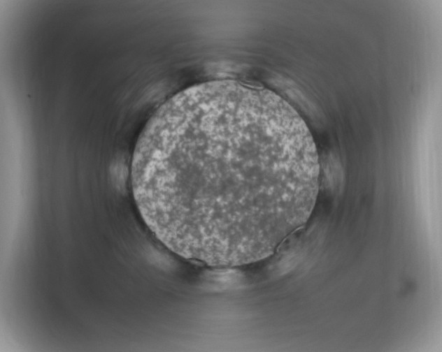 X0000112040427200908171515