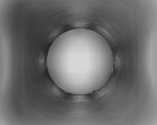 X0000112040428200908171515