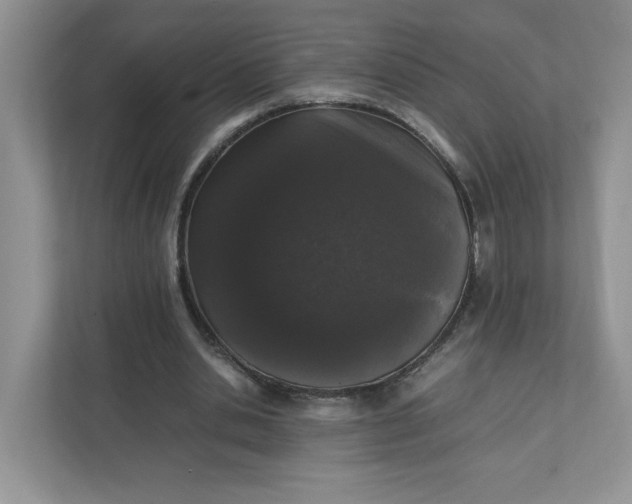X0000112040438200908171514
