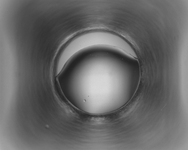 X0000112040440200908171514
