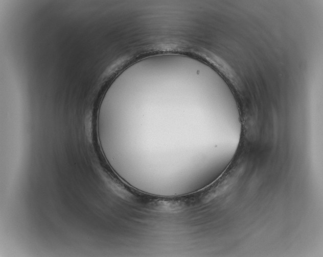 X0000112040442200908171514