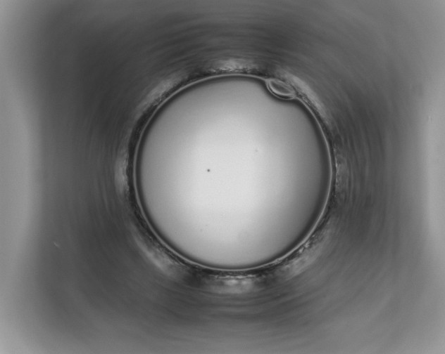X0000112040443200908171514