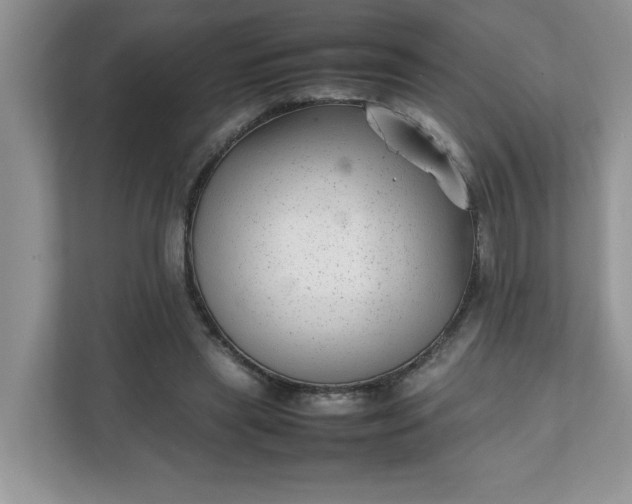 X0000112040445200908171514