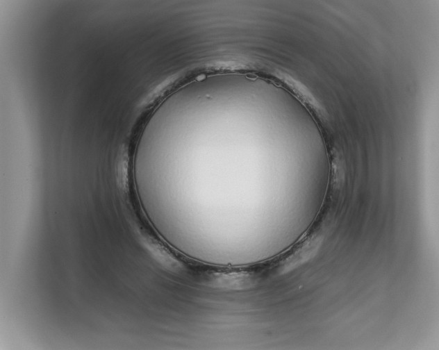 X0000112040446200908171514