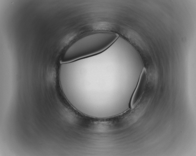 X0000112040448200908171514