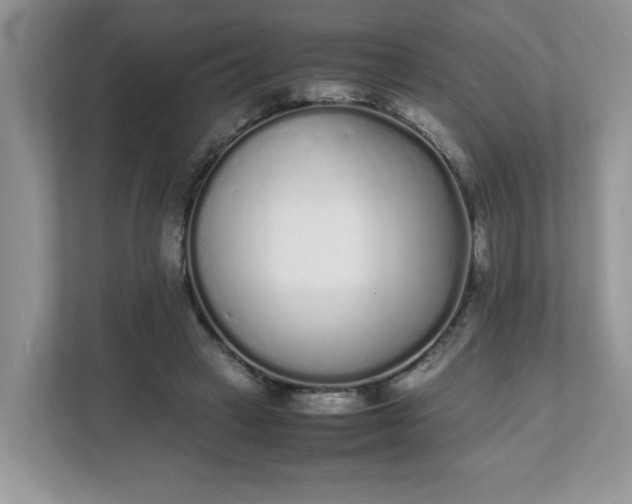 X0000112040449200908171514